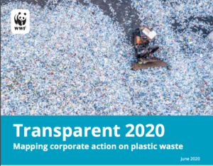 Mapping corporate action on plastic waste